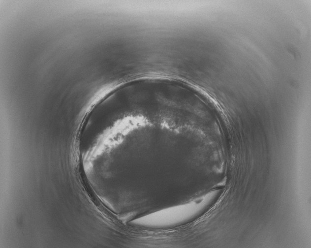 X0000116011367200912171002