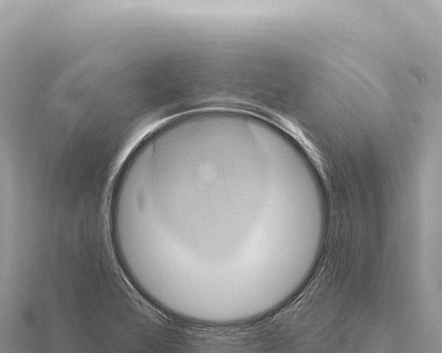 X0000116011368200912171002