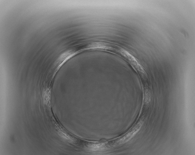 X0000116011369200912171002