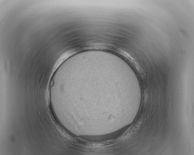 X0000116011370200912171002