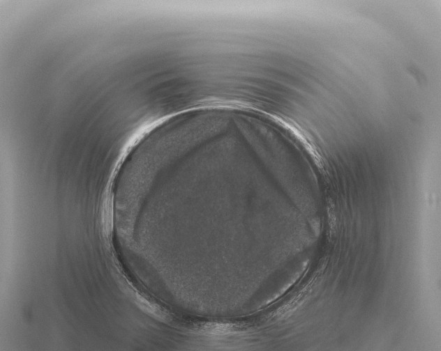 X0000116011371200912171002