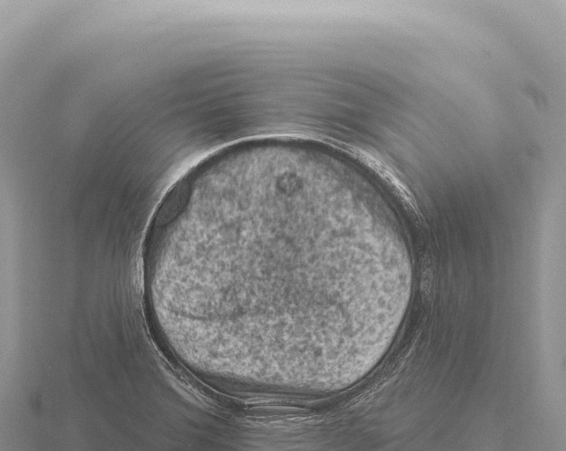 X0000116011372200912171002