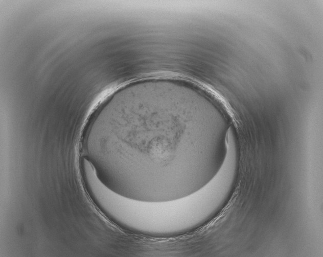 X0000116011373200912171002