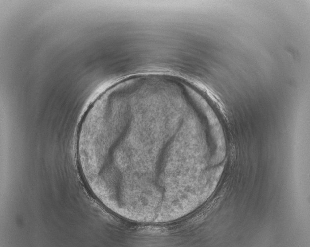 X0000116011374200912171002