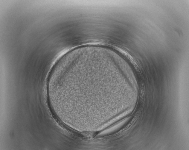 X0000116011375200912171002