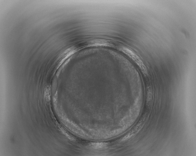 X0000116011377200912171002