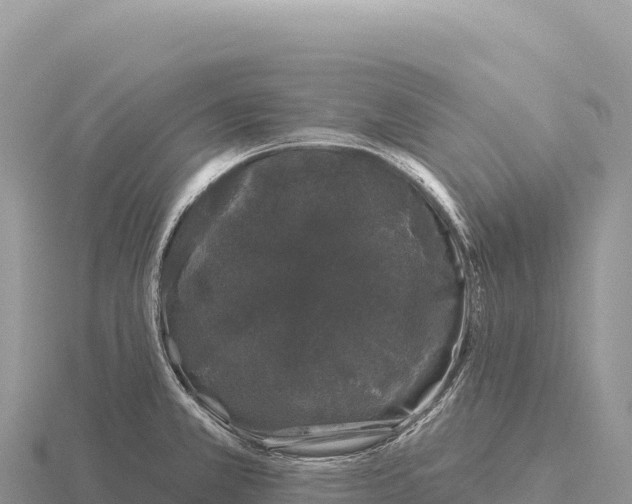 X0000116011381200912171002