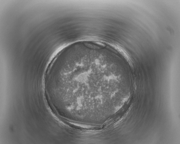 X0000116011382200912171002