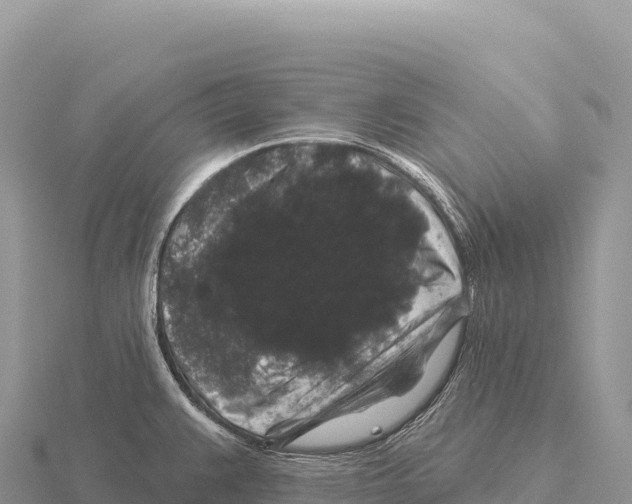 X0000116011383200912171002