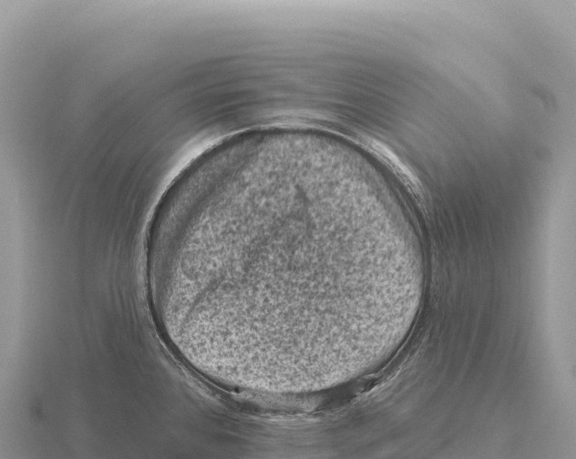 X0000116011384200912171002