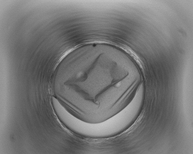 X0000116011385200912171002