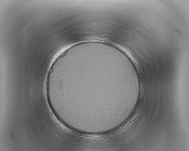 X0000116011387200912171002