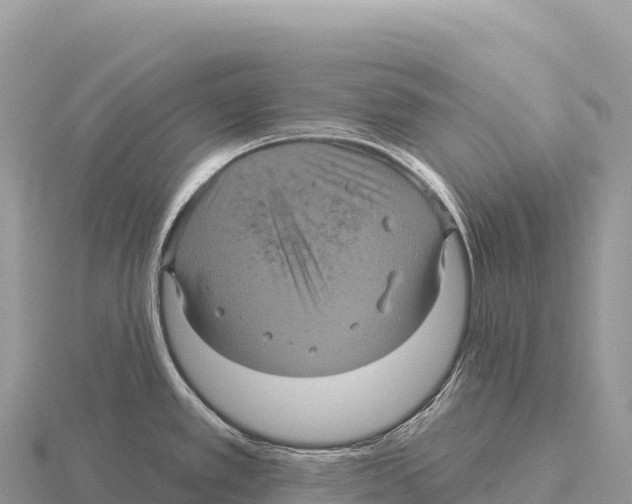 X0000116011389200912171002