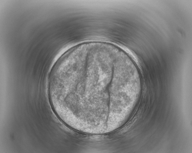 X0000116011390200912171002