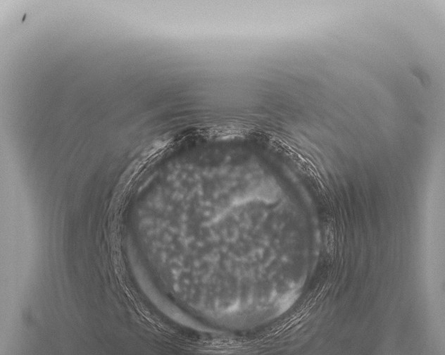 X0000116011393200912171001