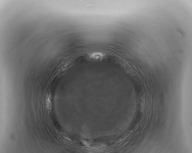 X0000116011394200912171001