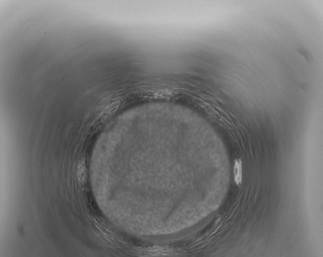 X0000116011395200912171001