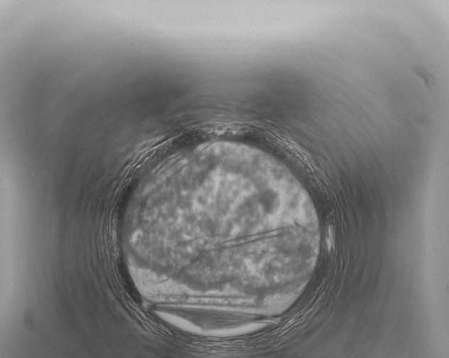 X0000116011396200912171001