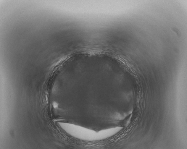 X0000116011398200912171001