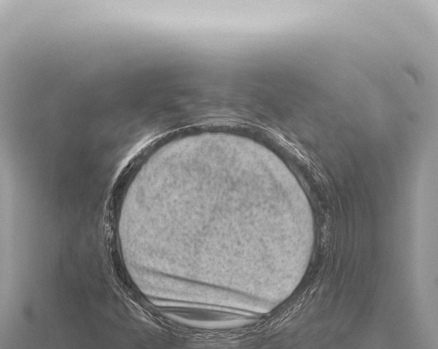 X0000116011400200912171001