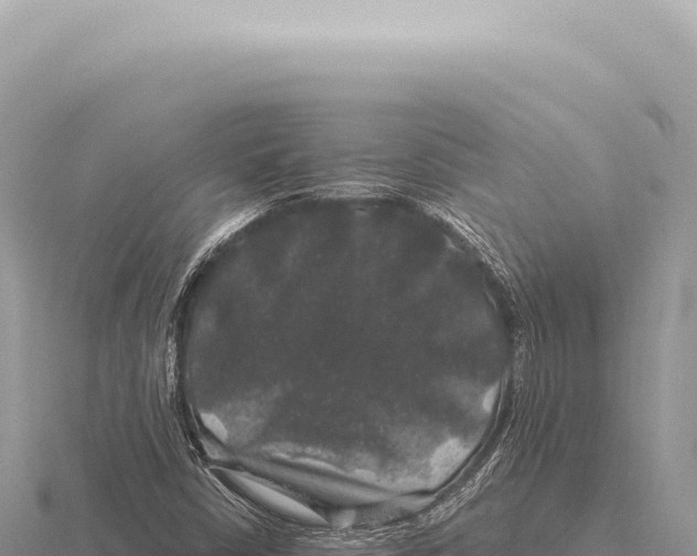 X0000116011402200912171001