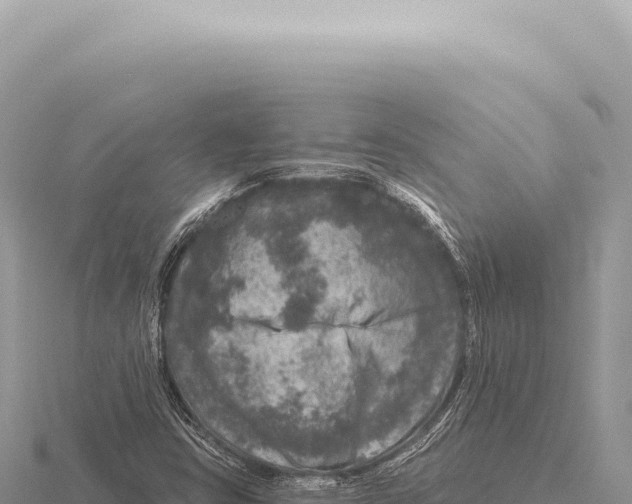 X0000116011403200912171001