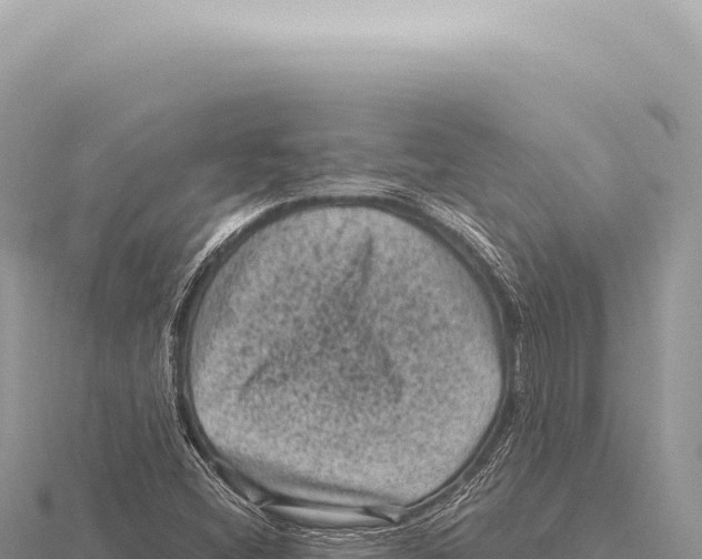 X0000116011404200912171001