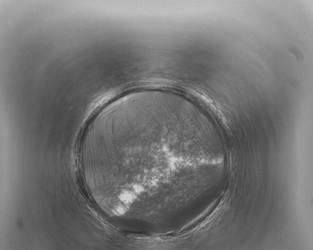 X0000116011405200912171001