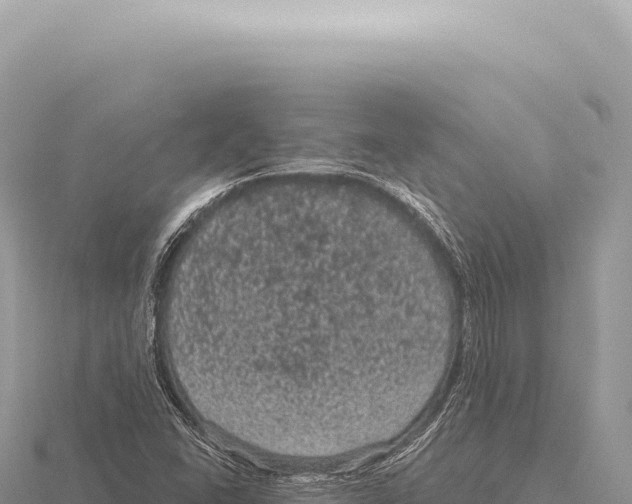 X0000116011406200912171001