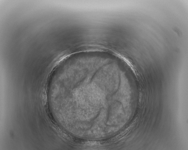 X0000116011407200912171001