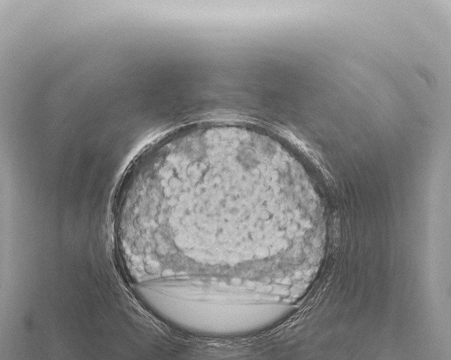 X0000116011408200912171001