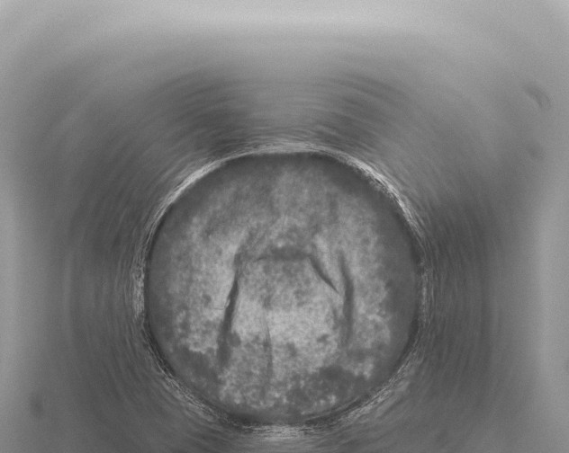 X0000116011409200912171001