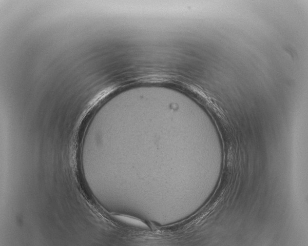 X0000116011410200912171001