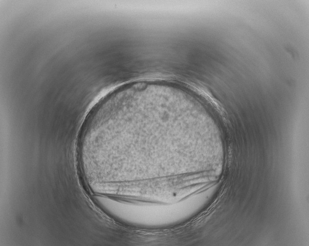 X0000116011412200912171001