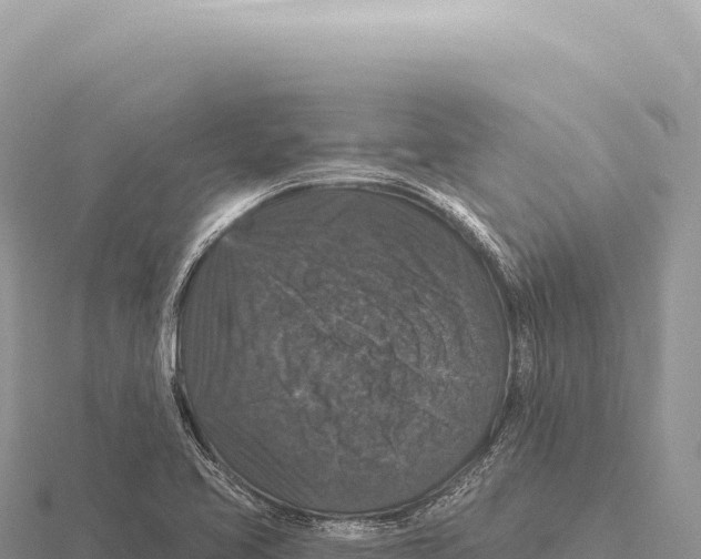 X0000116011413200912171001