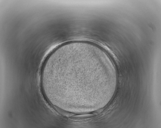 X0000116011416200912171001