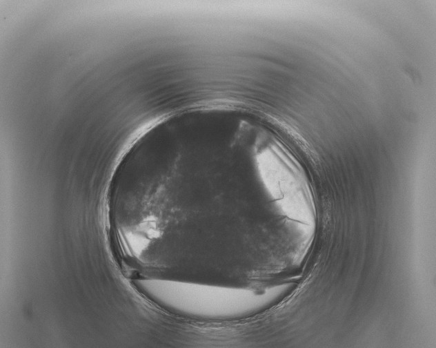 X0000116011418200912171001