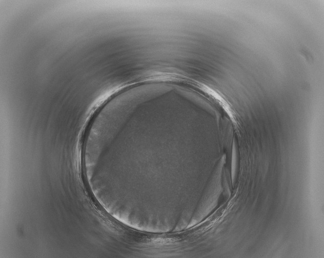 X0000116011419200912171001