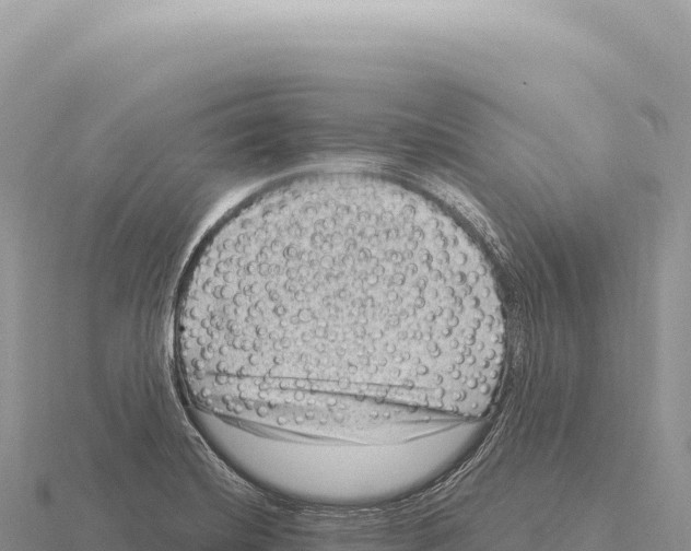 X0000116011420200912171001