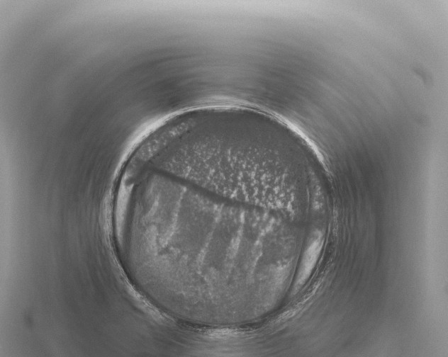 X0000116011421200912171001