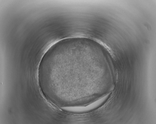 X0000116011423200912171001