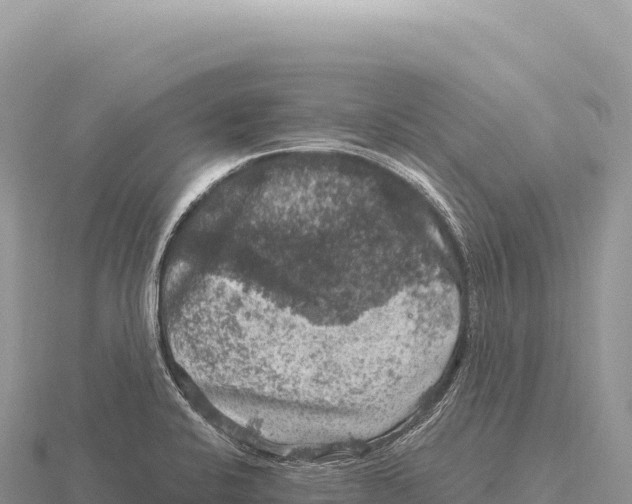 X0000116011424200912171001