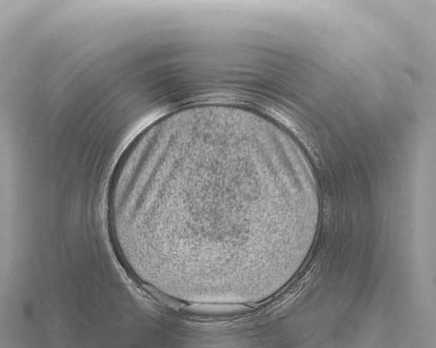 X0000116011426200912171001