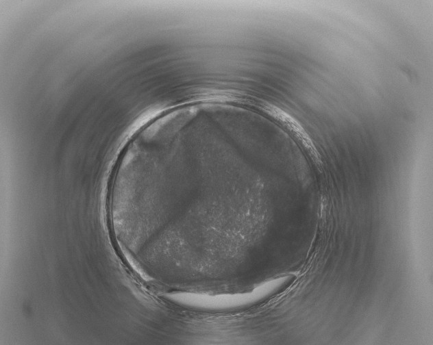 X0000116011427200912171001