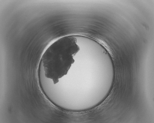 X0000116011428200912171001