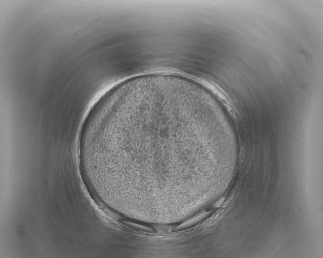 X0000116011430200912171002