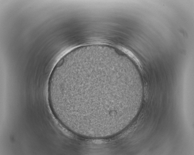 X0000116011431200912171002