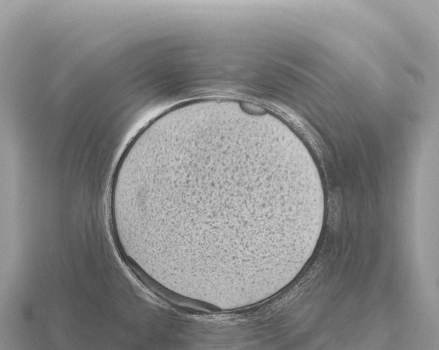 X0000116011432200912171002