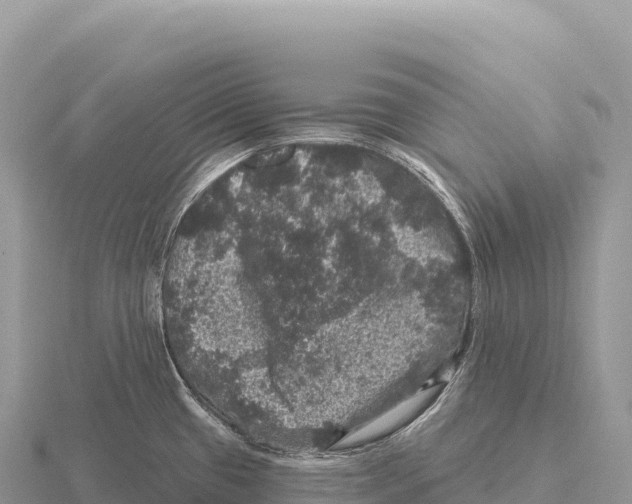 X0000116011433200912171002