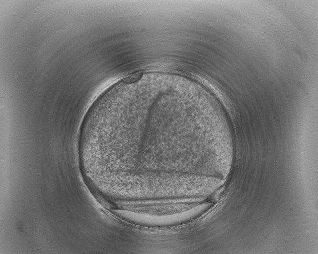 X0000116011434200912171002